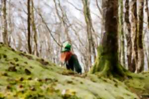 photo LE COTENTIN FÊTE L’IRLANDE – 