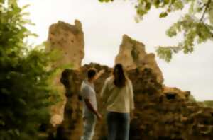 photo JOURNEES EUROPEENNES DE L’ARCHEOLOGIE – Alauna, l’ancêtre antique de Valognes