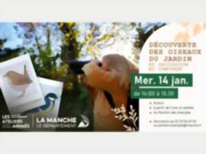 photo Découverte des oiseaux du jardin et initiation au comptage