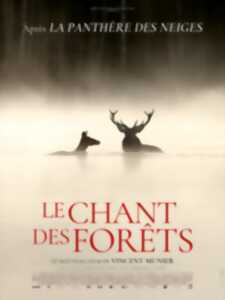 photo Projection de film : Le Chant des Forêts