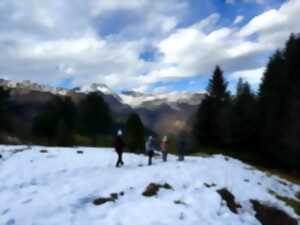 photo Randonnée hivernale sur les traces de la faune sauvage