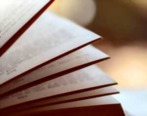 photo Spectacle : Le temps des chimères