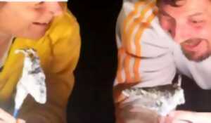 photo Théâtre Jeunesse : Méchant