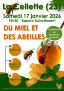 photo Conférence du miel et des abeilles