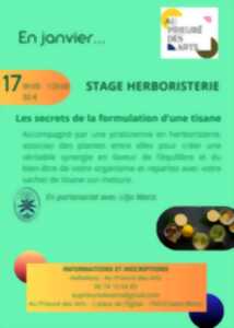 photo Stage Herboristerie à Saint-Rémy