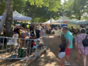 photo Marchés estivaux nocturnes du mercredi