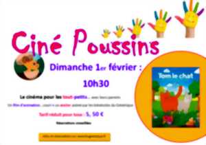 photo Ciné Poussins Tom le chat - à la recherche du doudou perdu