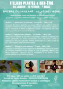 photo Atelier tisanes et baumes