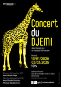 photo CONCERT DU DJEMI #1