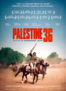 photo Palestine 36