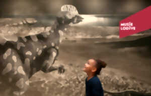 photo VISITE GUIDÉE : RACONTE-MOI LA VIE SUR TERRE