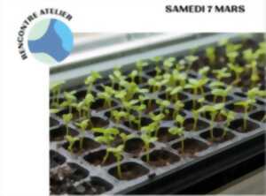 photo Atelier Grainofête