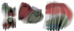 photo Décors linceulés - Laureline Galliot