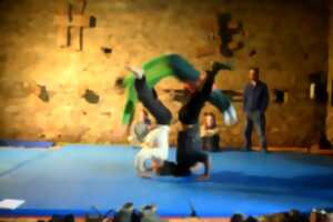 photo Stage de cirque