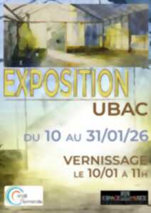 photo Exposition Union des Beaux-Arts Condéens au Musée Charles Léandre