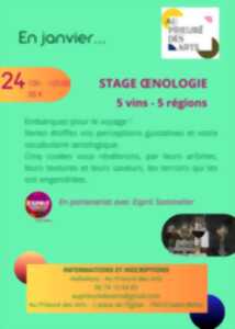 photo Stage Oenologie à Saint Rémy