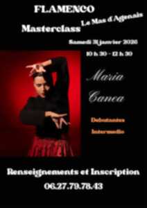 photo Flamenco - Masterclass au salon La Cuadra