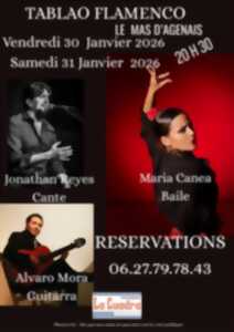 photo Tablao Flamenco au Mas D'Agenais