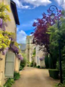 photo Fête de la petite cité de caractère de Saint-Dyé-sur-Loire