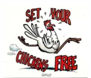 photo Soirée dance floor avec DJ Poulet