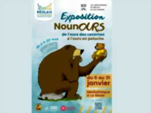 photo NounOurs - de l'ours des cavernes à l'ours en peluche