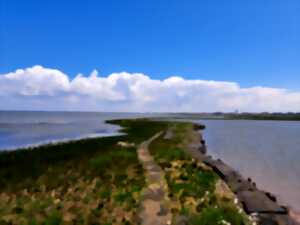 photo Test manifestation