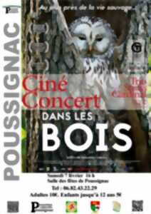 photo Ciné concert : Dans les bois