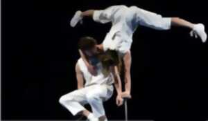 photo Fil à la Patte