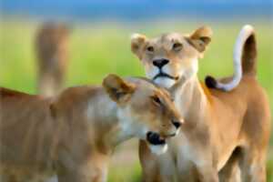 photo Rencontre et dédicace avec le photographe Alexandre Bès