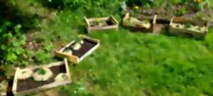 photo Préparer son plan de culture et choisir ses semences