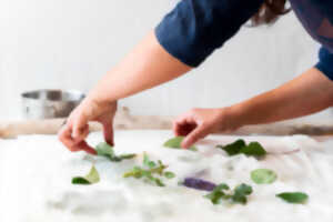 photo Atelier parent/enfant : cyanotype nature