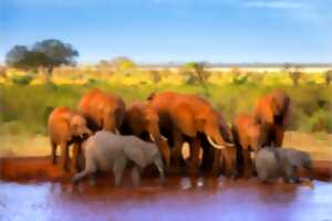 photo Exposition de photographies animalières - Kenya - Joyau de l’Afrique