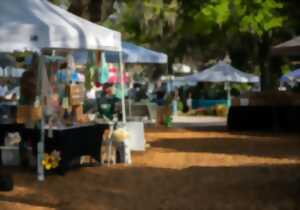 photo Marché Nocturne