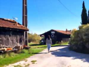 photo 10 km du Bassin