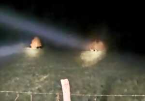 photo La nuit de la faune sauvage