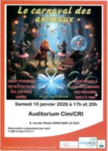 photo Concert - Le carnaval des animaux