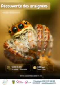 photo Découverte des araignées avec la Maison de la Loire