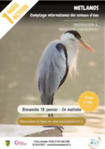 photo Un Mois Une Action avec la Maison de la Loire