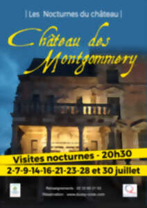 photo Visite guidée nocturne du château des Montgommery : une construction protestante ambitieuse