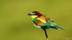 photo LA NATURE AU FIL DES SAISONS