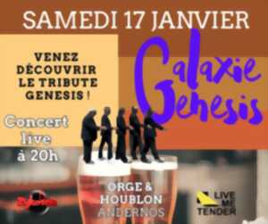 photo Zykoson en concert 