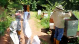 photo Visite du Rucher du Rollenberg