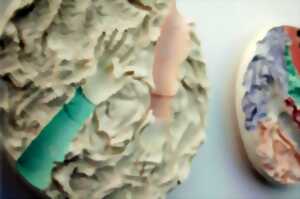 photo Atelier : ancrer nos liens