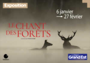 photo Le Chant des forêts
