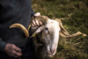 photo Exposition : Photographies d'Adrien Basse