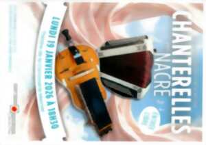 photo Chanterelles en nacre