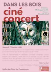 photo Ciné concert : Dans les bois