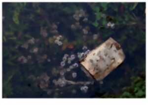 photo Sous les clichés, la page !