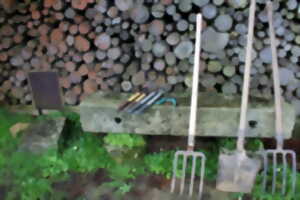 photo Chantier au jardin du Nombril