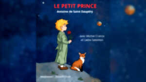photo Spectacle : Le Petit Prince